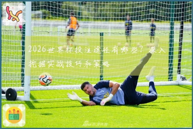 2026世界杯投注途径有哪些？深入挖掘实战技巧和策略