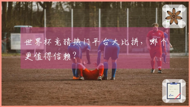 世界杯竞猜热门平台大比拼,哪个更值得信赖?