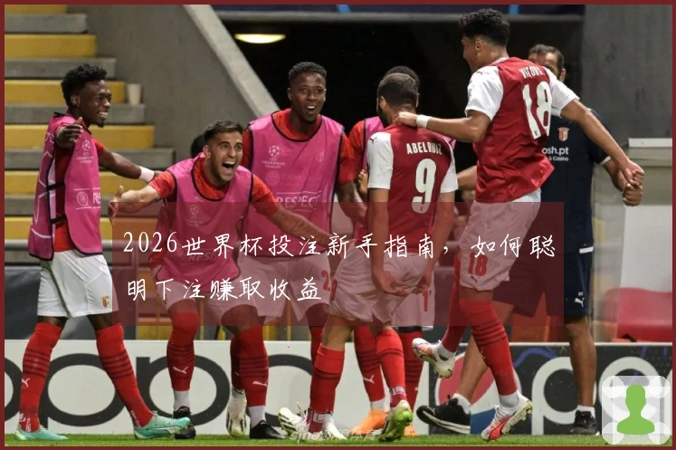2026世界杯投注新手指南，如何聪明下注赚取收益