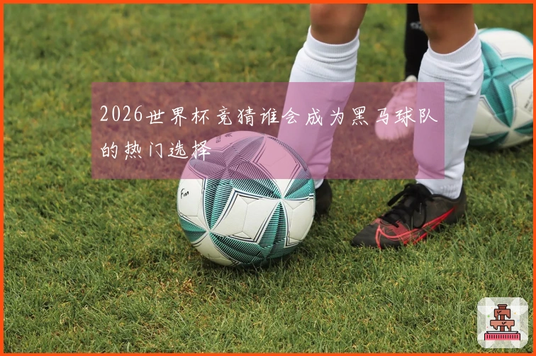 2026世界杯竞猜谁会成为黑马球队的热门选择