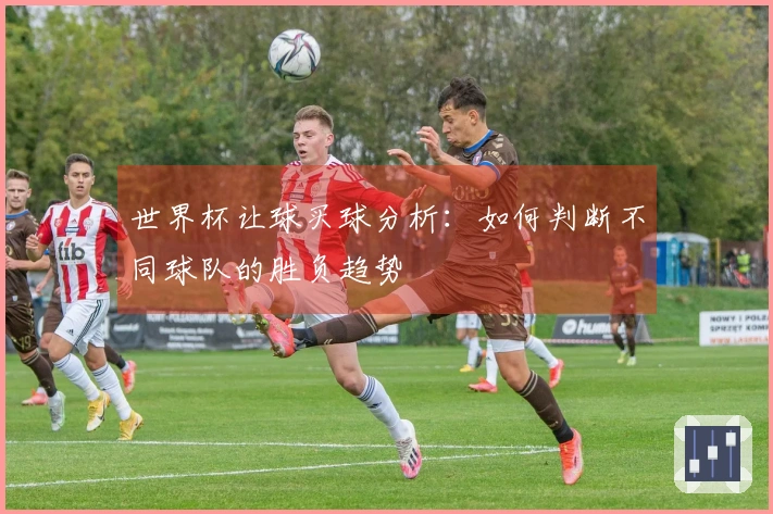 世界杯让球买球分析：如何判断不同球队的胜负趋势