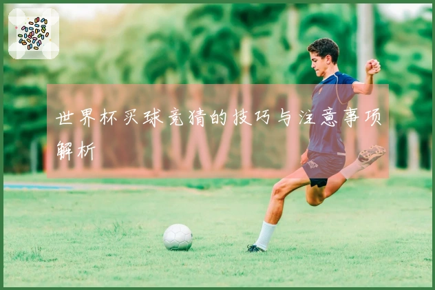 世界杯买球竞猜的技巧与注意事项解析