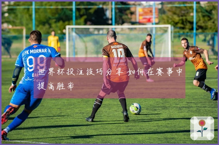 世界杯投注技巧分享 如何在赛事中提高胜率