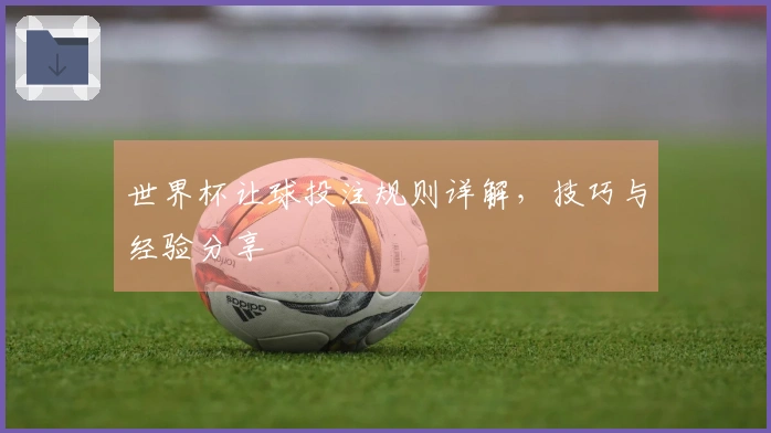 世界杯让球投注规则详解，技巧与经验分享