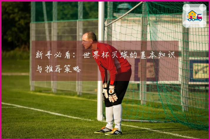 新手必看：世界杯买球的基本知识与推荐策略