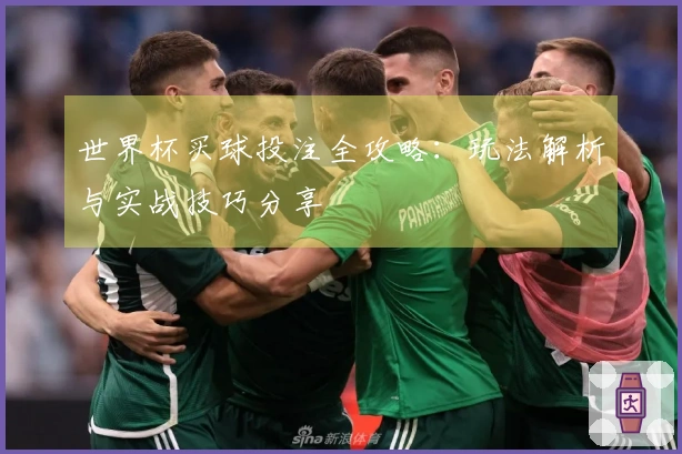 世界杯买球投注全攻略：玩法解析与实战技巧分享