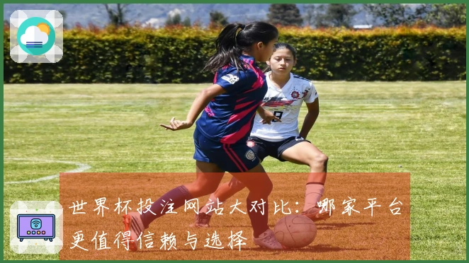世界杯投注网站大对比:哪家平台更值得信赖与选择