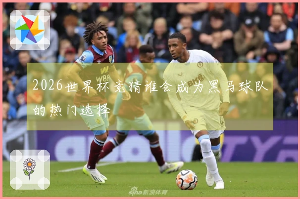 2026世界杯竞猜谁会成为黑马球队的热门选择