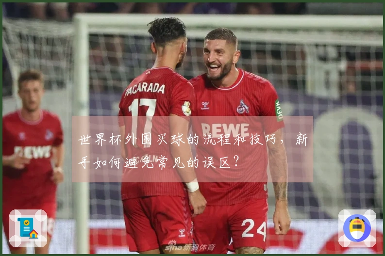世界杯外围买球的流程和技巧，新手如何避免常见的误区？