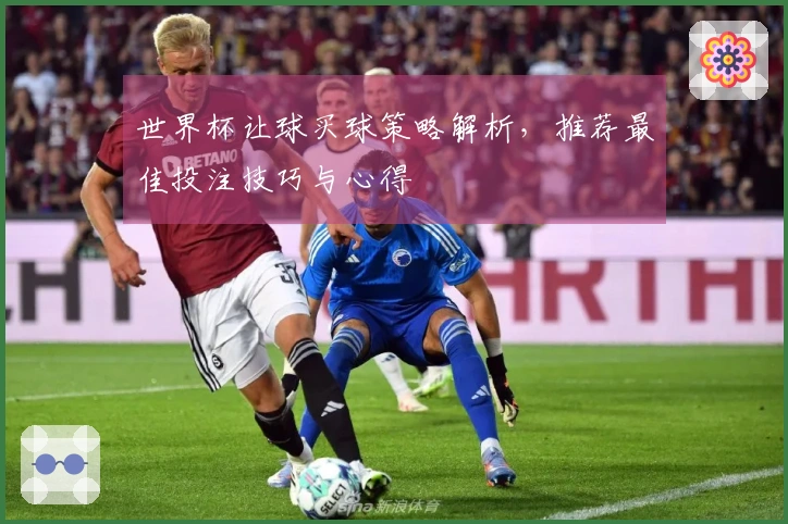 世界杯让球买球策略解析,推荐最佳投注技巧与心得