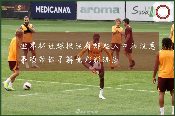 世界杯让球投注有哪些入口和注意事项带你了解竞彩新玩法