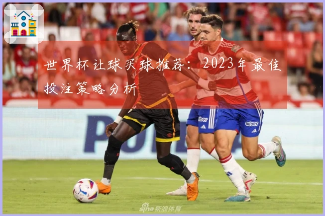 世界杯让球买球推荐:2023年最佳投注策略分析