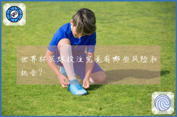 世界杯买球投注究竟有哪些风险和机会？