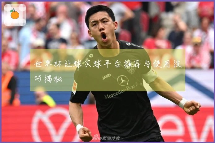世界杯让球买球平台推荐与使用技巧揭秘