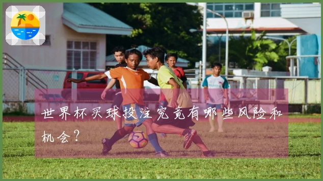 世界杯买球投注究竟有哪些风险和机会？