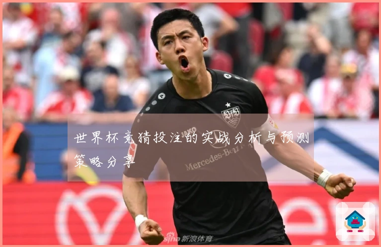 世界杯竞猜投注的实战分析与预测策略分享