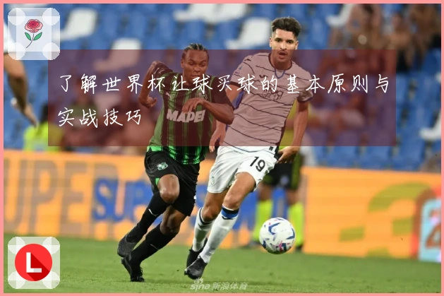了解世界杯让球买球的基本原则与实战技巧