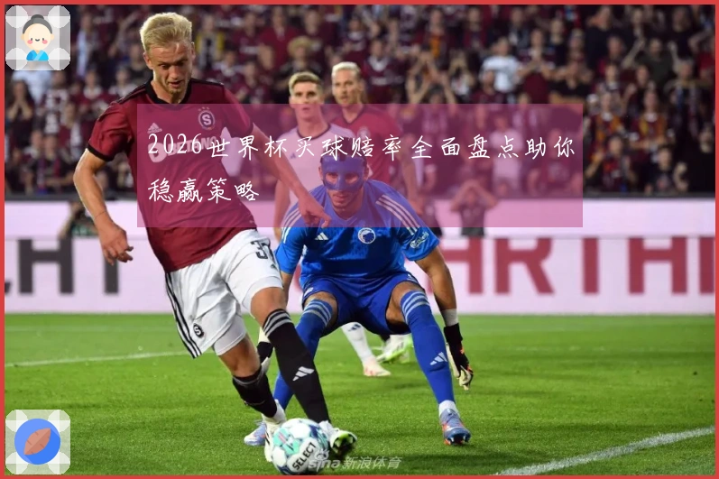 2026世界杯买球赔率全面盘点助你稳赢策略