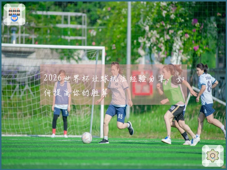 2026世界杯让球玩法经验分享，如何提高你的胜算
